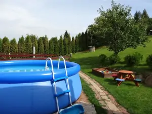 na zahradě je k dispozici bazén 
