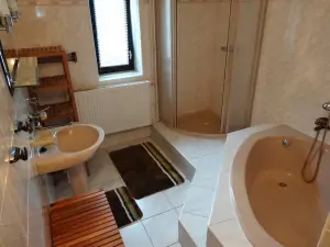 přízemí - koupelna se sprchovým koutem, vanou a umyvadlem
