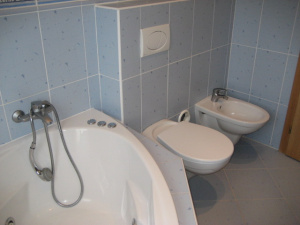 Koupelna v podkroví s masážní vanou, 2 umyvadly, WC a bidetem
