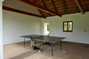 zastřešený stolní tenis