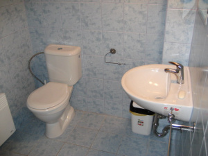 Koupelna v přízemí je vybavena hydromasážním sprchovým koutem, WC a umyvadlem