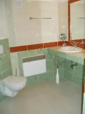Koupelna je vybavena sprchovým koutem, WC a 2 umyvadly