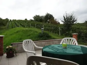 z terasy je krásný výhled do vinic