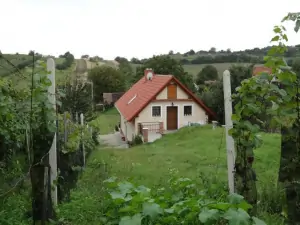 pohled na chatu Mutěnice z vinice za chatou