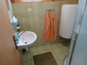 koupelna je vybavena sprchovým koutem a umyvadlem