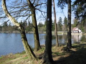 Rybník Sykovec se od chaty nachází asi 1 km