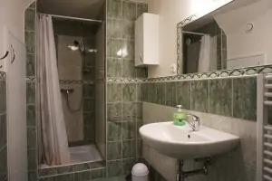 koupelna v přízemí je vybavena sprchovým koutem a umyvadlem