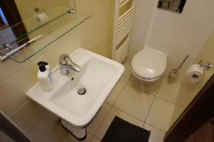 ke 2-lůžkové ložnici náleží koupelna se sprchovým koutem, umyvadlem a WC
