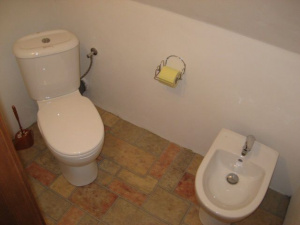 Samostatné WC s bidetem v podkroví