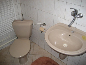 Koupelna je vybavena sprchovým koutem, WC, umyvadlem a pračkou