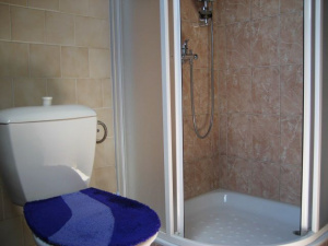 koupelna v podkroví je vybavena sprchovým koutem, WC a umyvadlem