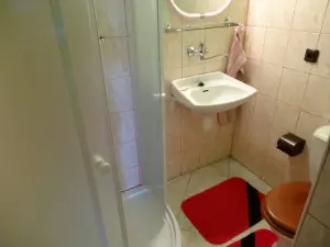 koupelna v suterénu je vybavena sprchovým koutem, WC a umyvdlem