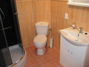 V přízemí se nachází koupelna se sprchovým koutem, WC a umyvadlem