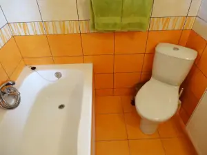koupelna s vanou, WC a umyvadlem