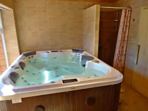wellness místnost s vířivkou, saunou, sprchovým koutem a WC