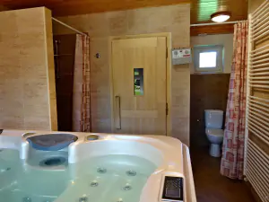 wellness místnost s vířivkou, saunou, sprchovým koutem a WC