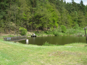 Na okraji pozemku se nachází rybník, kde je možno rybařit