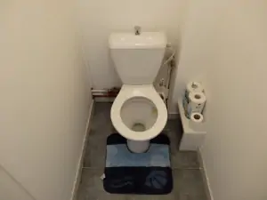 součástí koupelny je WC, které je opticky odděleno