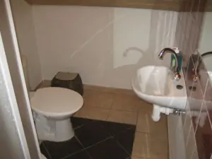 Koupelna se sprchovým koutem, wc a umyvadlem