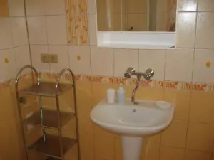Koupelna je vybavena sprchovým koutem, wc a umyvadlem