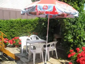 Za chatou se nachází zahradní nábytek se zahradním krbem (léto)