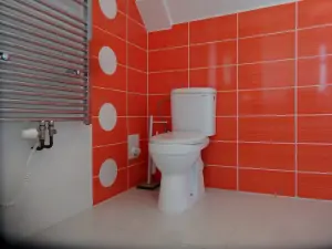 koupelna se sprchovým koutem, WC a umyvadlem (neaktuální fotografie)