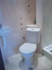 V koupelně je k dispozici sprchový kout, umyvadlo a WC