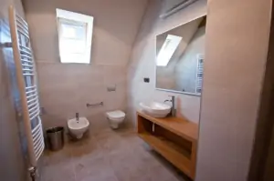 Koupelna se sprchovým koutem, WC, bidetem a umyvadlem v podkroví