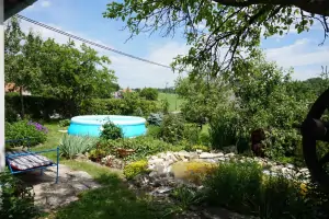 kruhový nadzemní bazén a zahradní jezírko