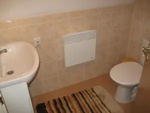 Koupelna se sprchovým koutem, WC a umyvadlem v 1. patře