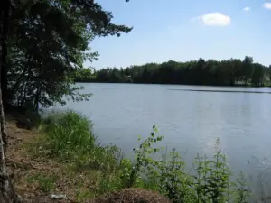 200 m od chaty se nachází rybník Strž (ideální pro rybáře)