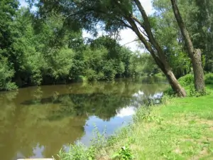 řeka Lužnice se od chaty nachází jen 100 m