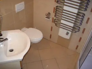 koupelna v přízemí je vybavena sprchovým koutem, umyvadlem a WC