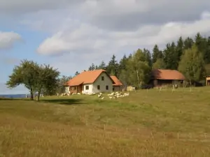 Chalupa Horní Bečva leží na pěkné polosamotě u lesa
