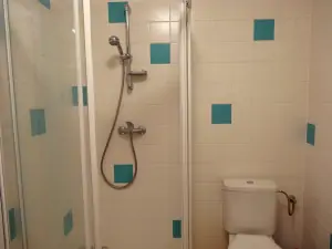 Koupelna se sprchovým koutem, WC a umyvadlem v přízemí 