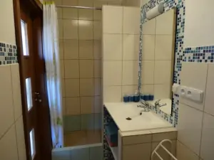 Koupelna se sprchovým koutem, umyvadlem a WC v přízemí