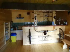 Kuchyně - za barovým pultem se nachází plně vybavená kuchyňská linka