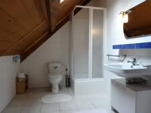 Koupelna v podkroví je vybavena sprchovým koutem, WC a umyvadlem