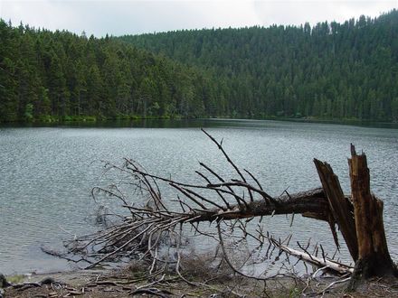 Čertovo jezero na Šumavě